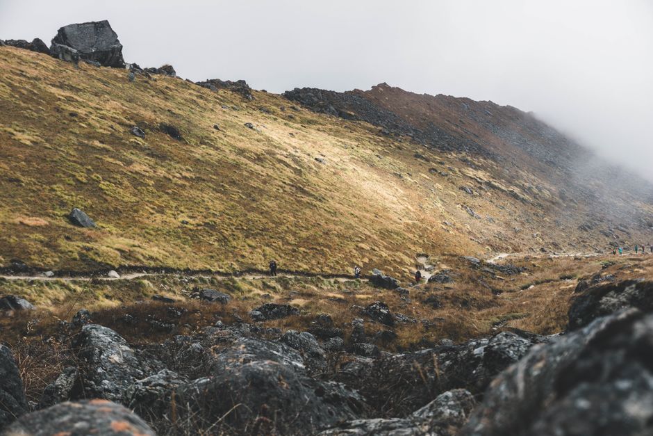 A Balanced Approach To Wellness: What Actually Works