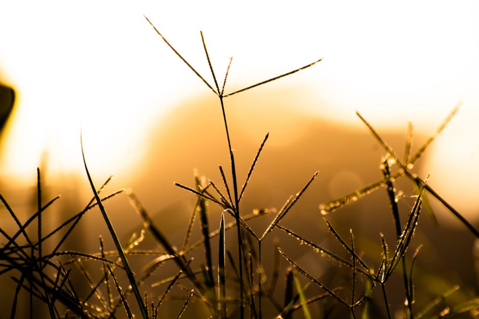 A Gentler Way to Approach Starting Over Without Starting From Scratch, in Plain Language