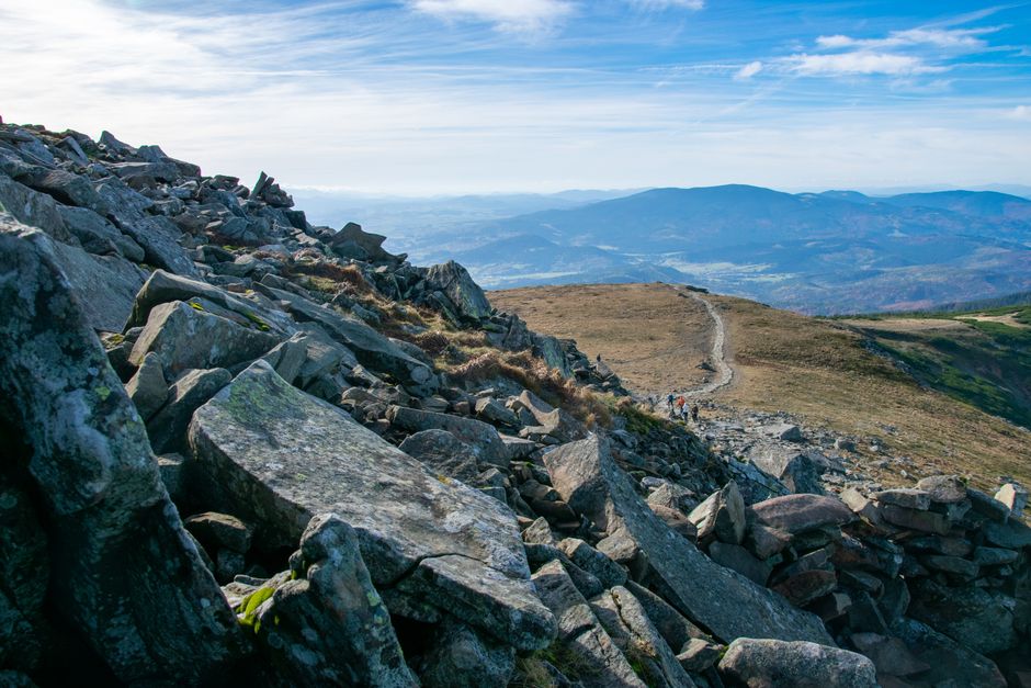 Caring For Your Overall Health: Where to Start