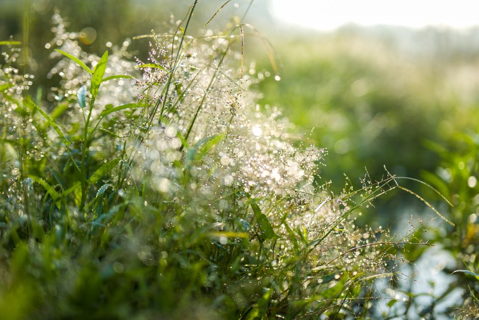 Habits: How They Actually Form as a Daily Habit, in Plain Language