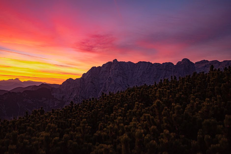 Health As A Daily Practice: Myths and Facts