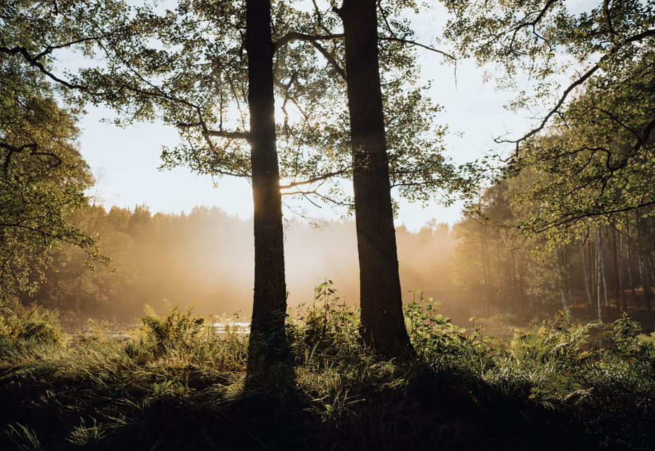 Health Over A Lifetime, Not A Season: What Changes With Age