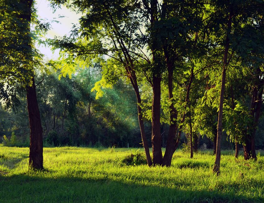 How Health Over A Lifetime, Not A Season Fits a Real Routine