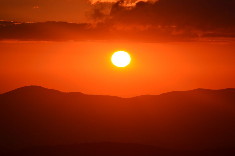 The Case for Mental Health Is Health, the Honest Way