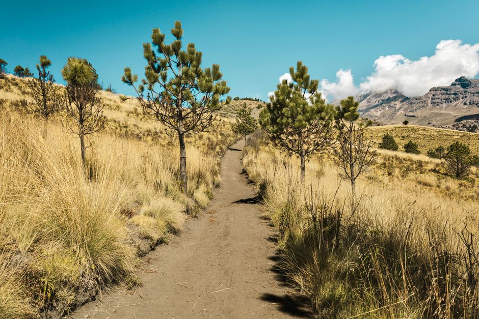 Room for Walking: The Most Underrated Exercise in a Full Day, Starting Today