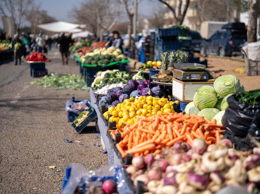 The Many Meanings Of A Healthy Diet: A Simple, Practical Guide