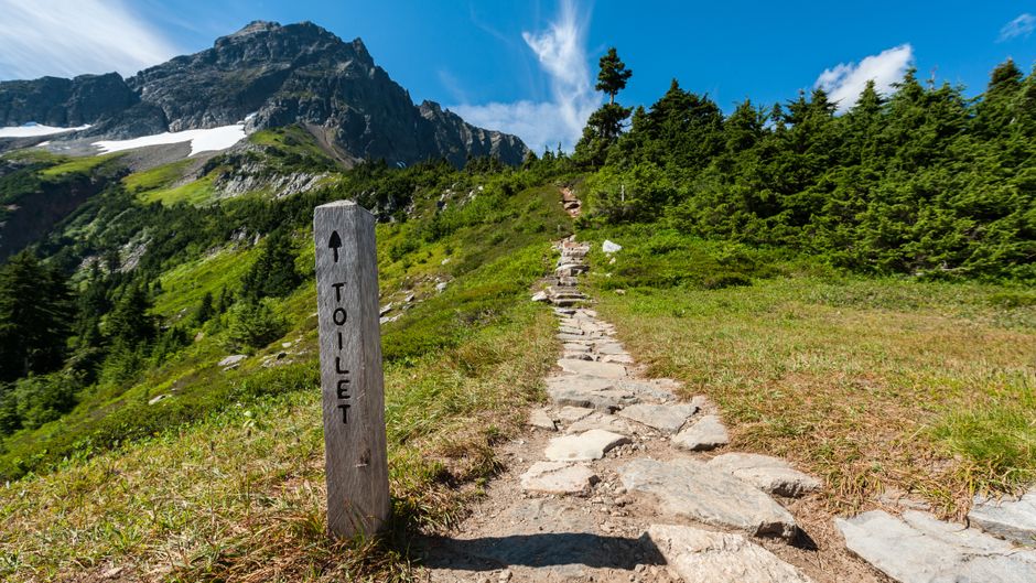 Building a Daily Routine Around The Ordinary Virtues Of Walking, Step by Step