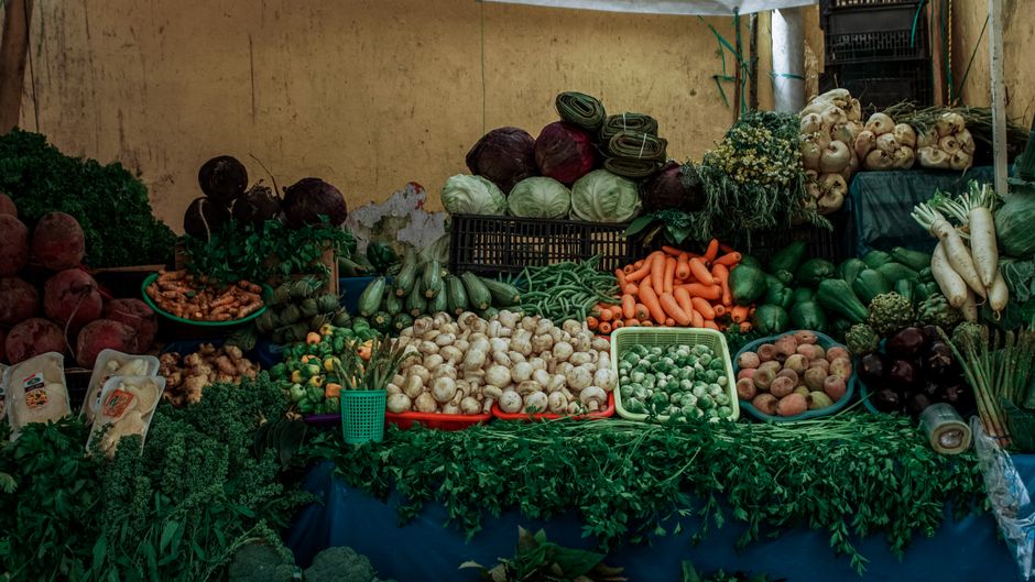 The Role Of Environment In Health as the Years Add Up