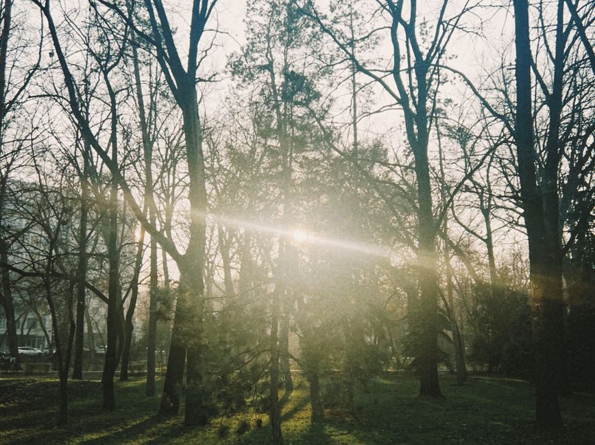 The Truth About Starting Over Without Starting From Scratch, Without the Hype