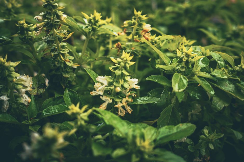 Understanding Seasonal Changes And How The Body Responds in Plain Terms, Step by Step