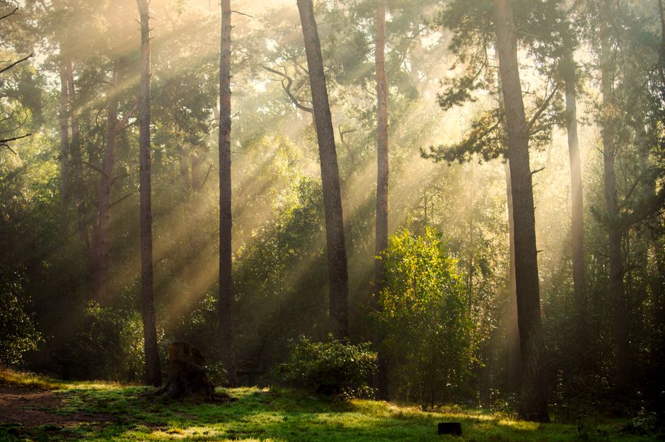 Working Habits: How They Actually Form Into a Busy Week, Without Overthinking It